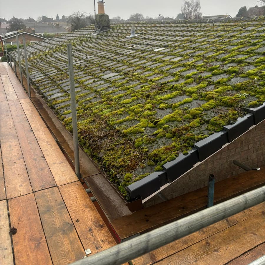 A weathered roof heavily covered in moss